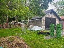 Dog kennel - Photo 2