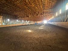 Horse Boarding - Photo 4