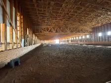 Horse Boarding - Photo 5