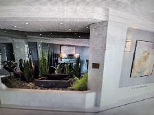 1 Room for rent in a 2 Bedroom Condo | Available July 1st - Photo 3