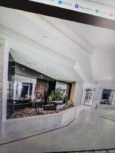 1 Room for rent in a 2 Bedroom Condo | Available July 1st - Photo 4