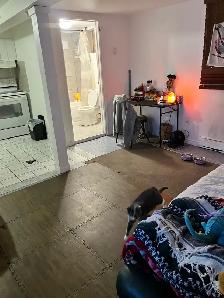 Studio Apartment by the rive Gatineau - Photo 2
