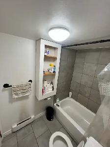 Studio Apartment by the rive Gatineau - Photo 3