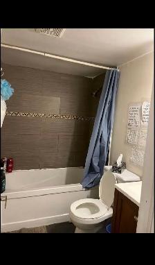 2 BEDROOM BASEMENT AVAILABLE FOR RENT - Photo 3