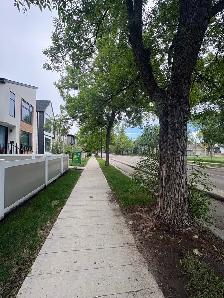 UofADelux townhouse for rent - Photo 3