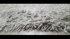 10' x 8' Clean Full Shag Carpet, Great Shape, moving, CHEAP! - Photo 3