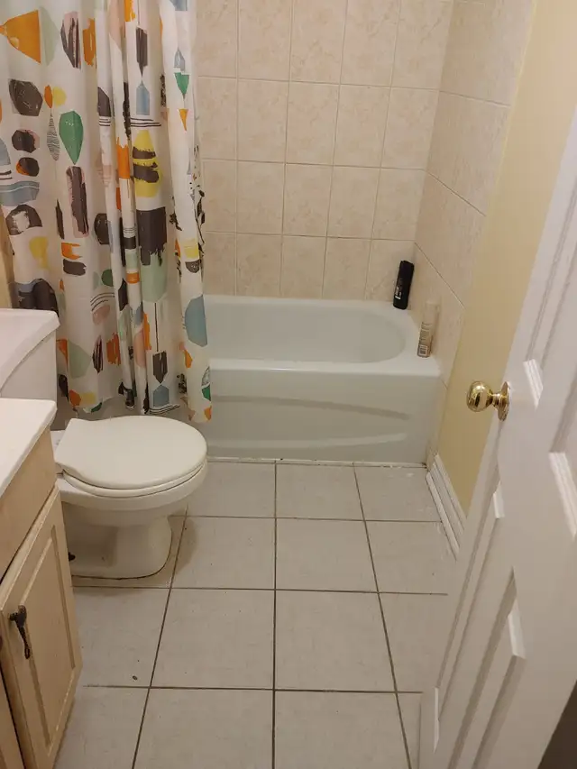 2 bedrooms basement Apt- William Parkway and Main (Brampton)