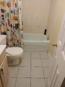 2 bedrooms basement Apt- William Parkway and Main (Brampton)