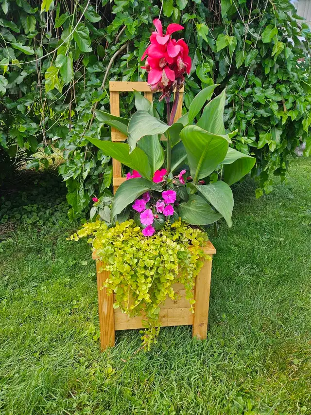 planter boxes