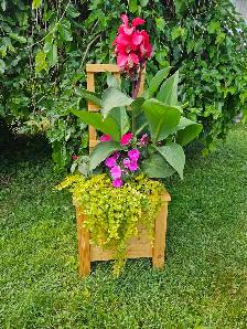 planter boxes
