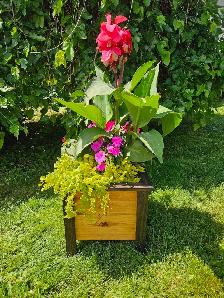 planter boxes - Photo 3
