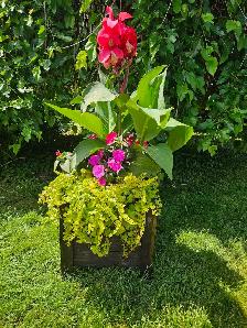 planter boxes - Photo 5