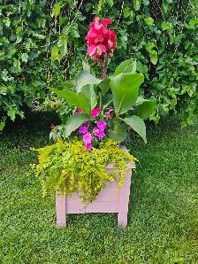 planter boxes - Photo 7