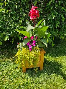 planter boxes - Photo 9