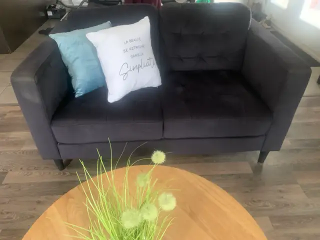 saufa et fauteuil