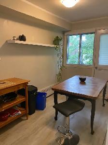 1450$ - 3 1/2 à louer à Verdun / for rent in Verdun - Photo 6
