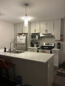 St Adolphe apartment for sublet - Photo 8
