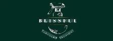 BLISSFUL CLEANING - Photo 2
