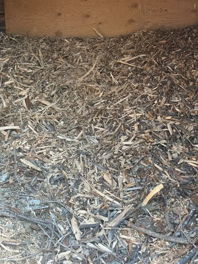 Wood chips
