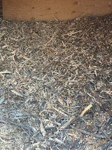 Wood chips
