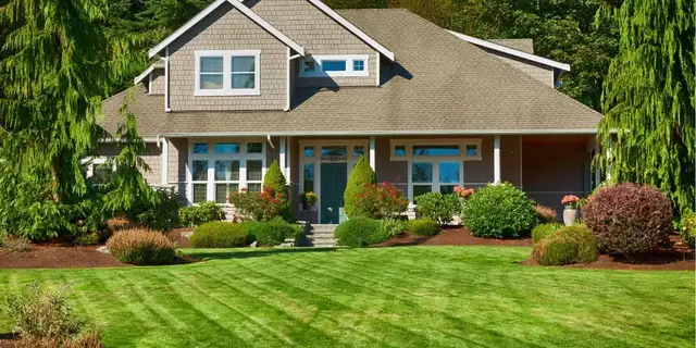 Yard cleaning,lawn cutting,junk removal