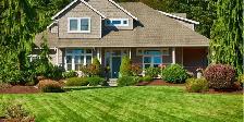Yard cleaning,lawn cutting,junk removal