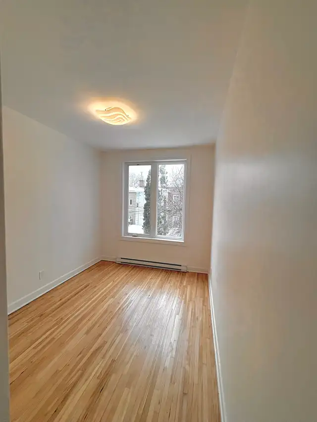 3 bedroom apartment