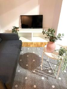3 1/2 Villeray/St-Michel - Photo 3