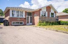 3 bedroom house for rent