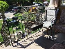 Love bird with cage and stand - Photo 4