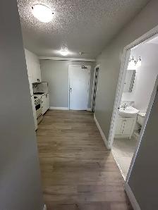 Bachelor Available now in Minnow Lake - Photo 2