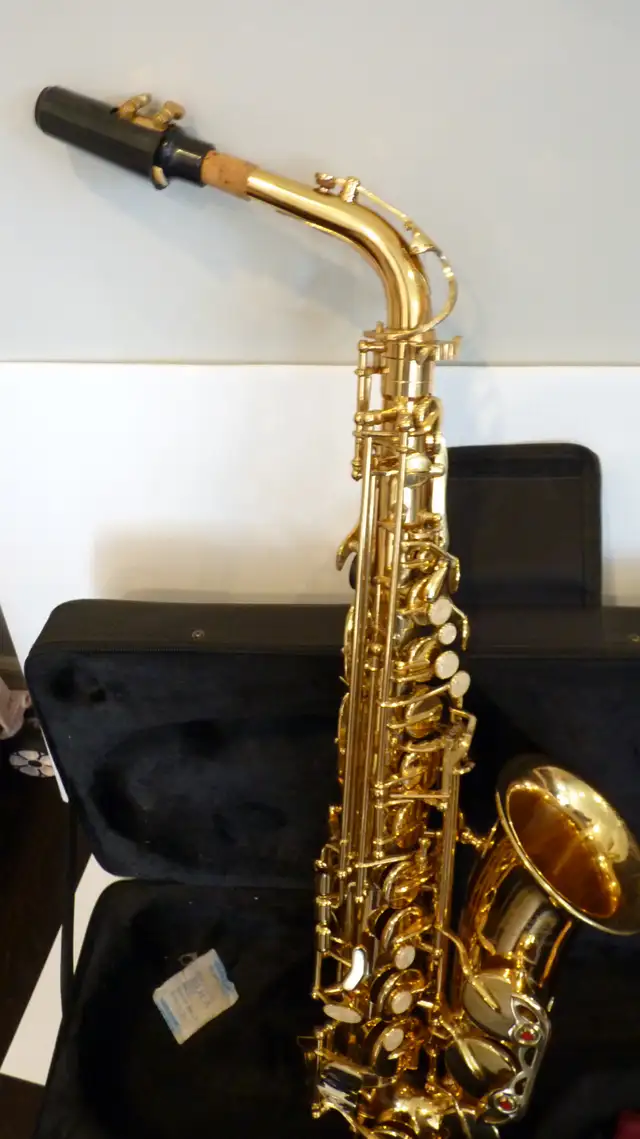 Alto Saxophone Golden