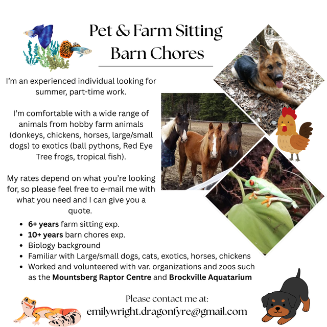 Farm/Pet Sitting