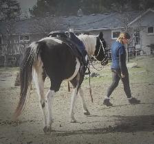 Farm/Pet Sitting - Photo 2