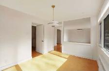 Massive 3 bdrm unit, recently renovated, in fantastic walkab - Photo 9