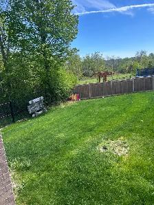 Coming Soon -Executive Ravine-Lot Home in Whitchurch-Stouffville - Photo 5