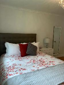 Upscale Rooms for Rent - Don Mills (Females Only) - Photo 3