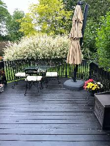 Upscale Rooms for Rent - Don Mills (Females Only) - Photo 9