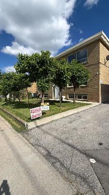 Newly Renovated 2 Bedroom 1 Bathroom Apartment