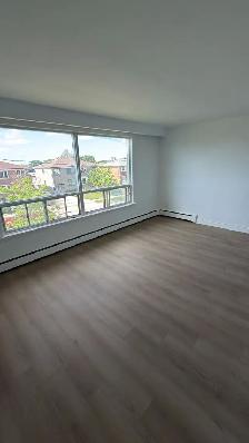 Newly Renovated 2 Bedroom 1 Bathroom Apartment - Photo 3