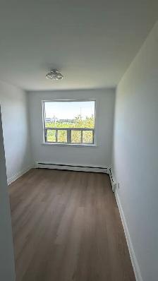Newly Renovated 2 Bedroom 1 Bathroom Apartment - Photo 4