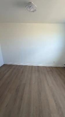 Newly Renovated 2 Bedroom 1 Bathroom Apartment - Photo 5