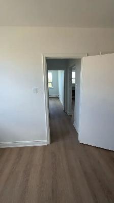 Newly Renovated 2 Bedroom 1 Bathroom Apartment - Photo 6