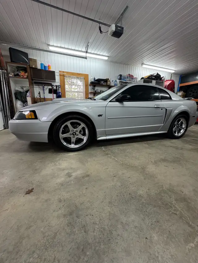 Mustang gt 2003