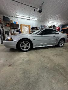 Mustang gt 2003