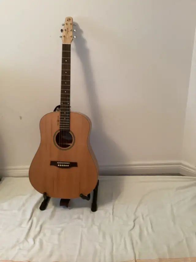 Garage Sale    Guitars and accessories