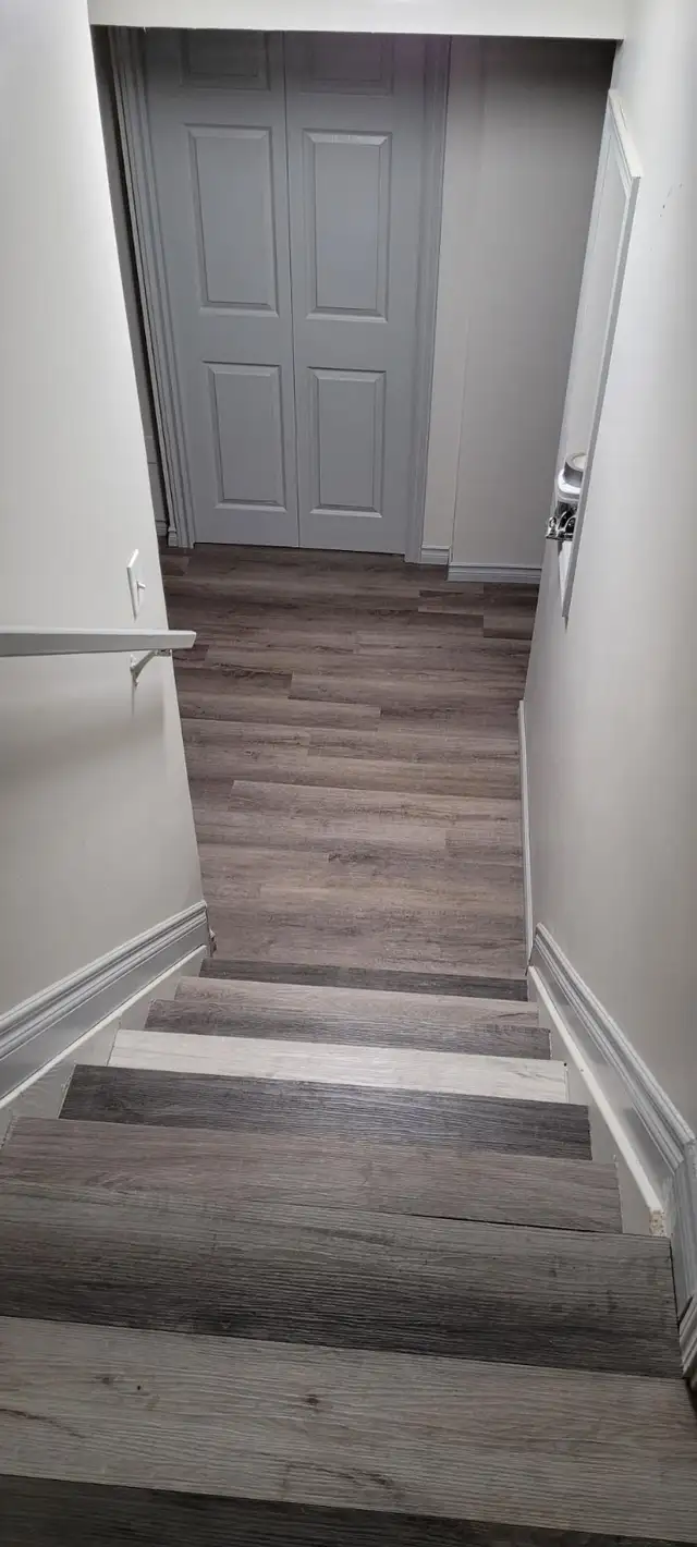 Basement only for Rent
