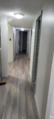 Basement only for Rent - Photo 4