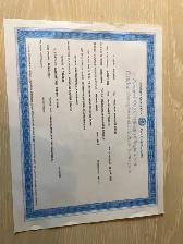 BULLDOGS FRANÇAIS - ADULTES NON STÉRILISÉS - Photo 2