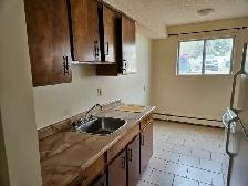 1 bedroom apartment $1090.00 1111 Ave. D North - Photo 3